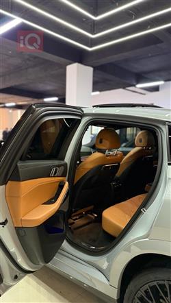 بي ام دبليو X6